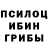 Псилоцибиновые грибы прущие грибы ENDERDAN