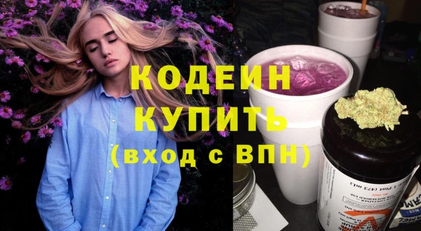 СК Бородино
