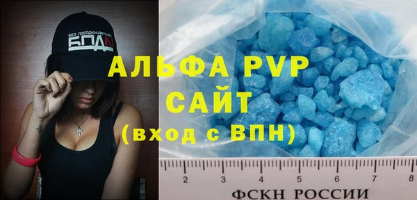 СК Бородино