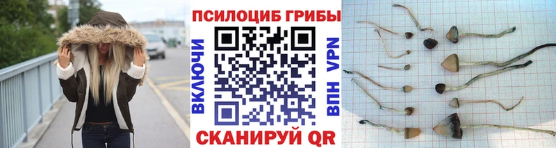 Псилоцибиновые грибы ЛСД  закладки  Гаврилов-Ям 
