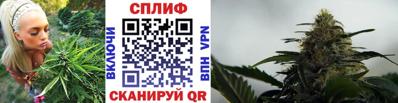 ссылка на мегу tor  shop официальный сайт  Бошки марихуана MAZAR  Гаврилов-Ям 